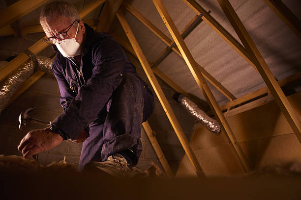 Best Geographic-Specific Insulation Services in Markesan, WI
